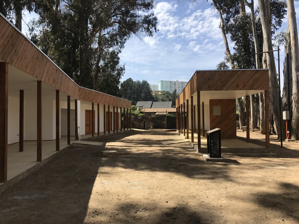 Peumal Algarrobo